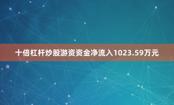 十倍杠杆炒股游资资金净流入1023.59万元