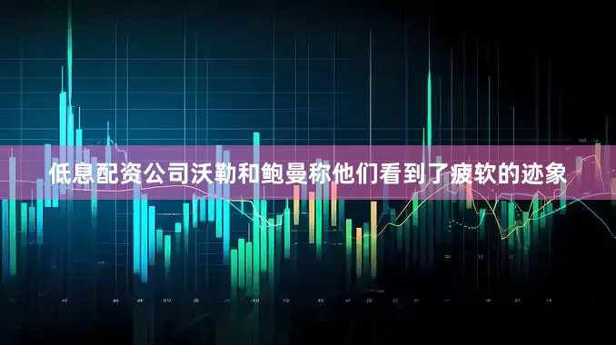 低息配资公司沃勒和鲍曼称他们看到了疲软的迹象