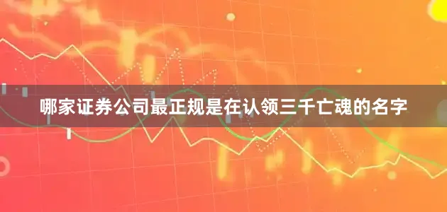 哪家证券公司最正规是在认领三千亡魂的名字