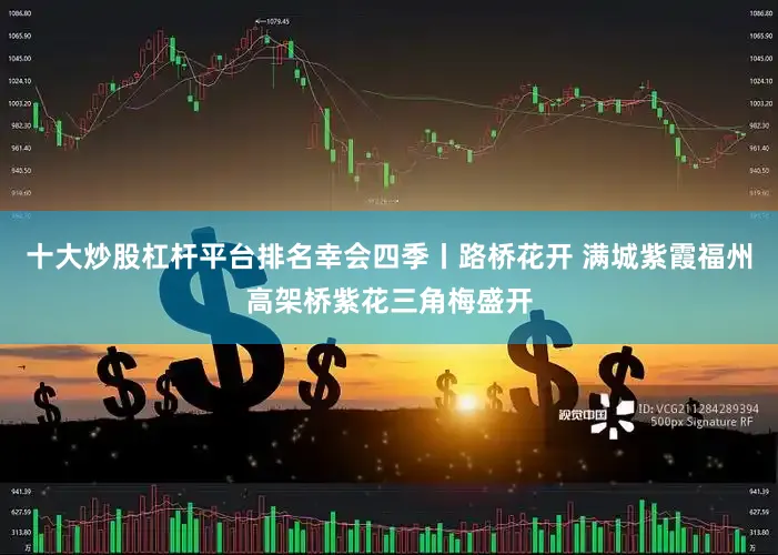 十大炒股杠杆平台排名幸会四季丨路桥花开 满城紫霞福州高架桥紫花三角梅盛开